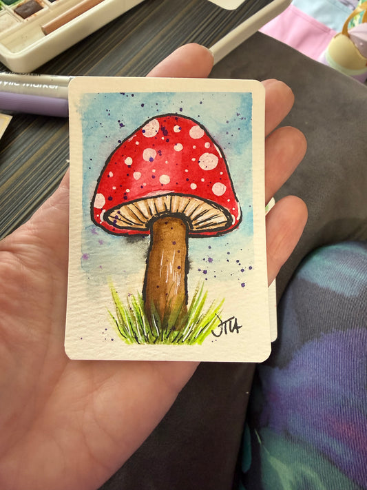 Toad Stool, watercolor original/ ACEO