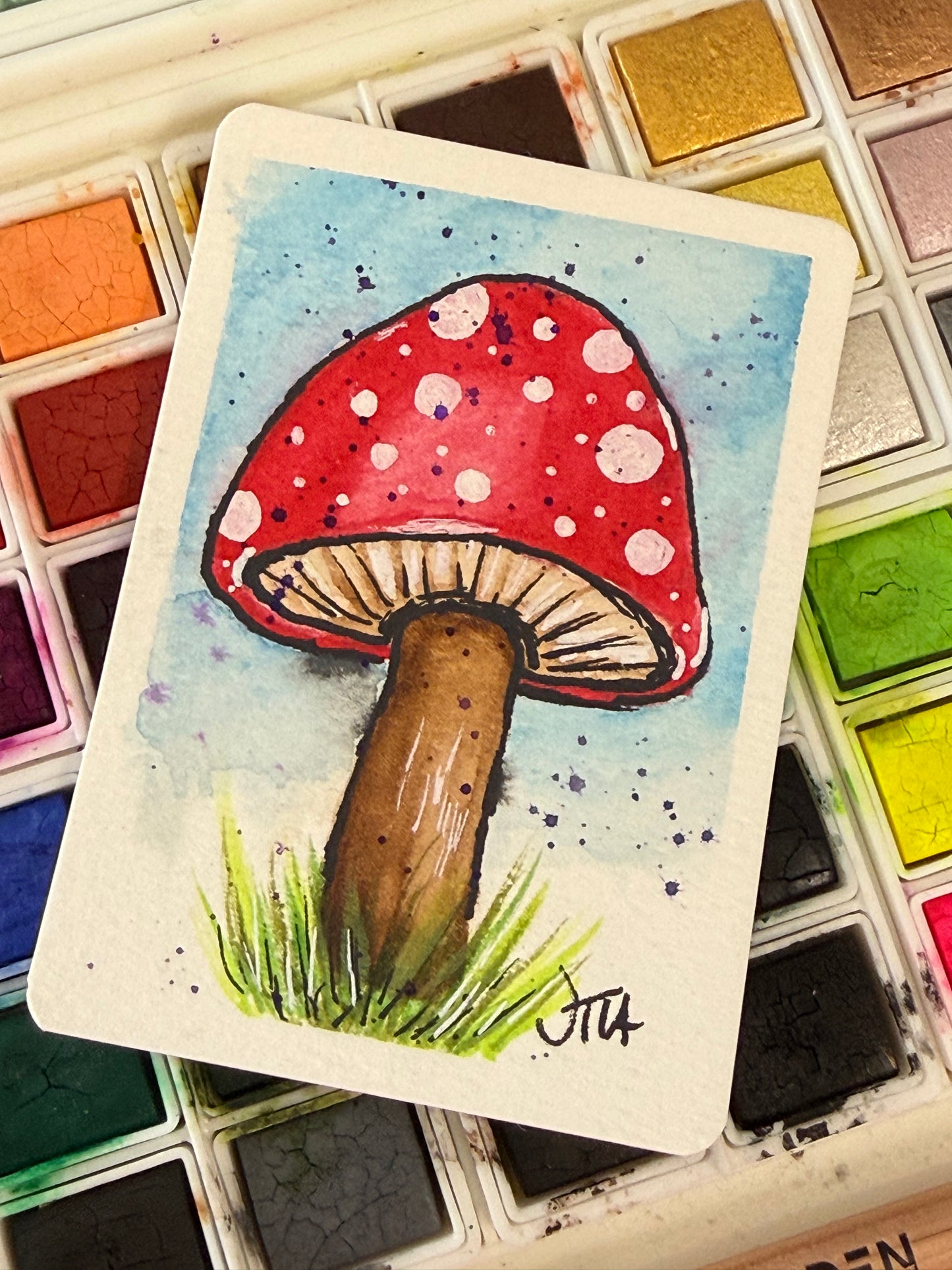 Toad Stool, watercolor original/ ACEO